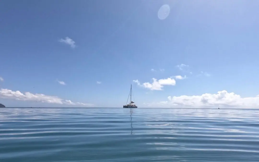 Ticketyboo delivered