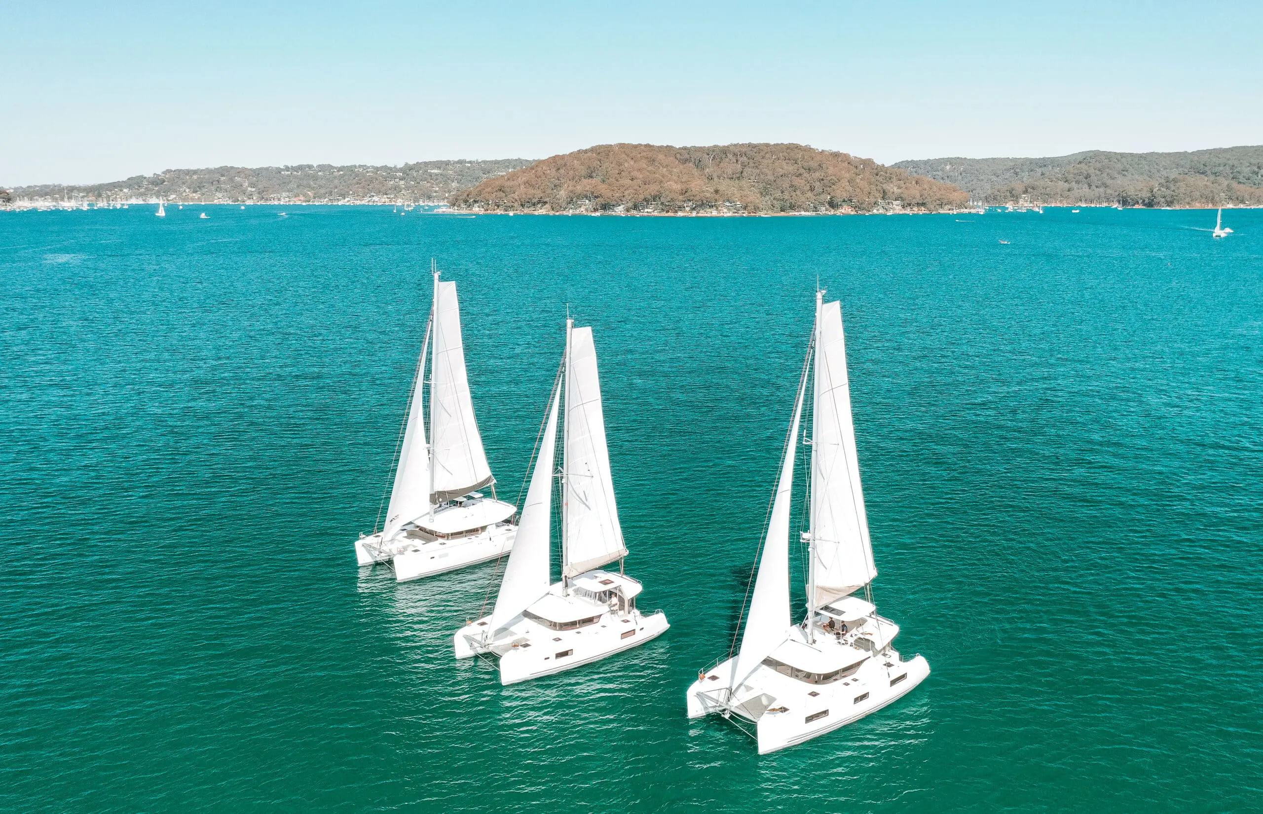 Celebrating 40 Years of Lagoon