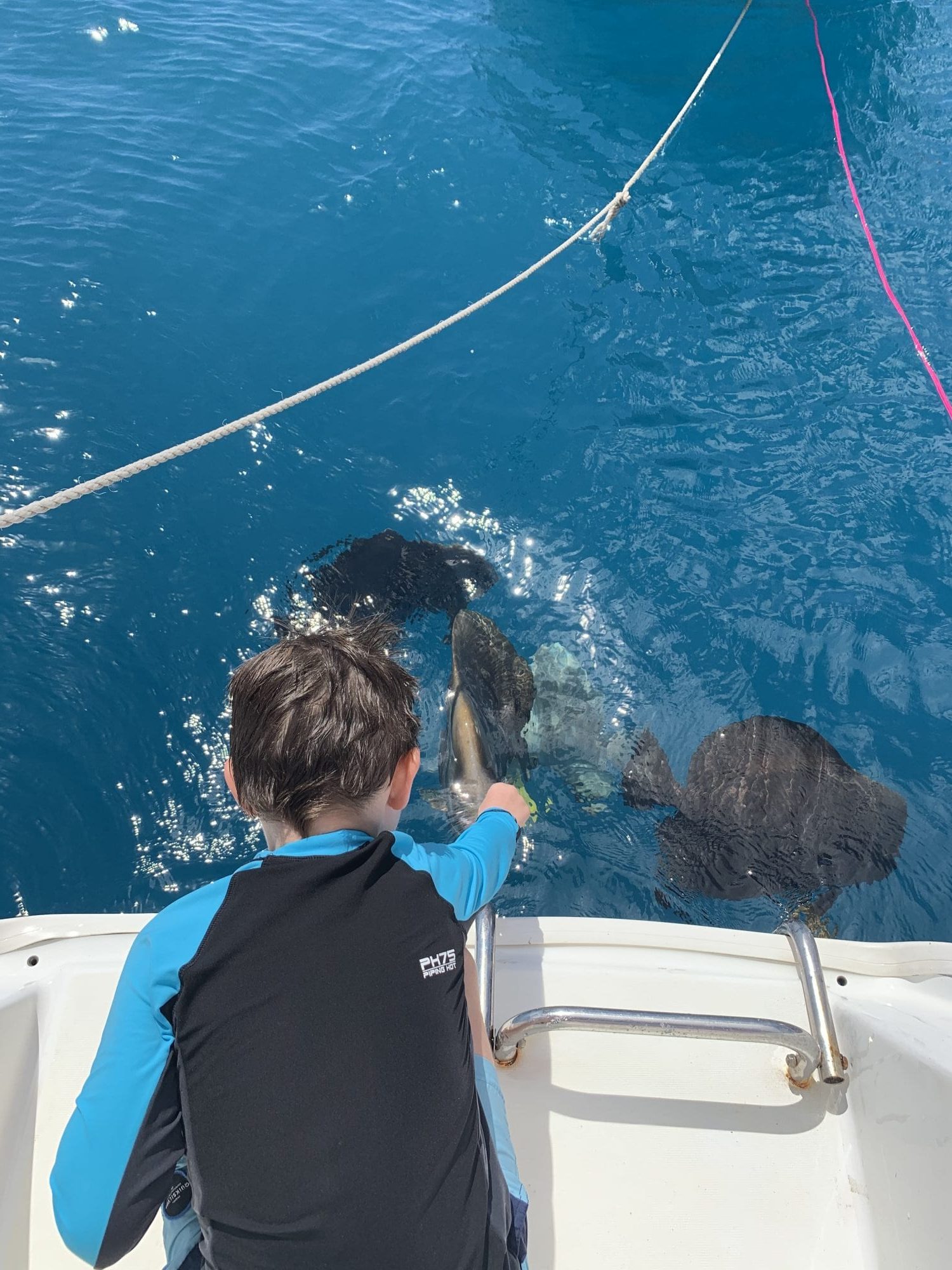 Whitsundays Family Adventure