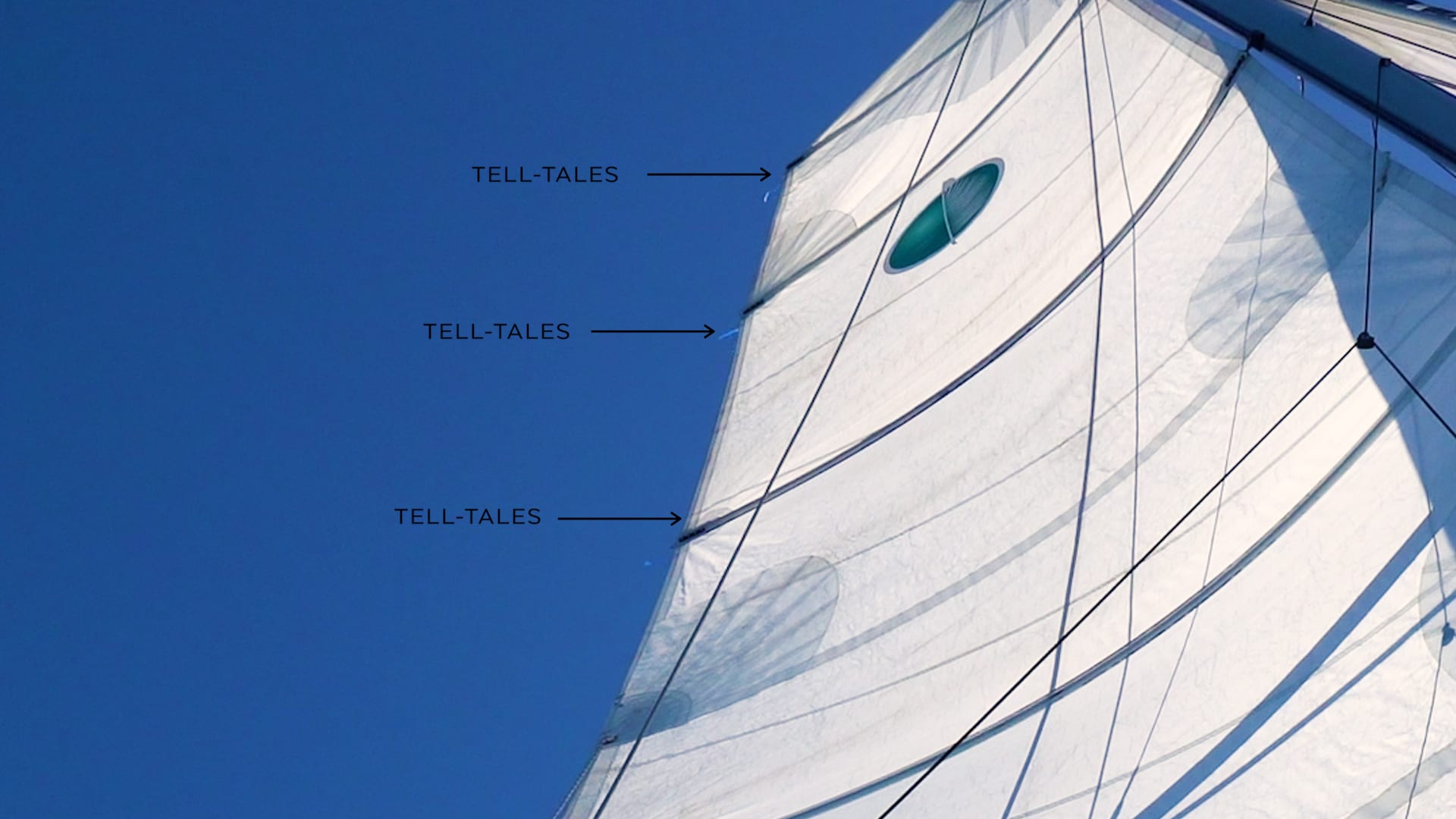 tell-tale-main Catamaran Sail Trim with Sam Newton