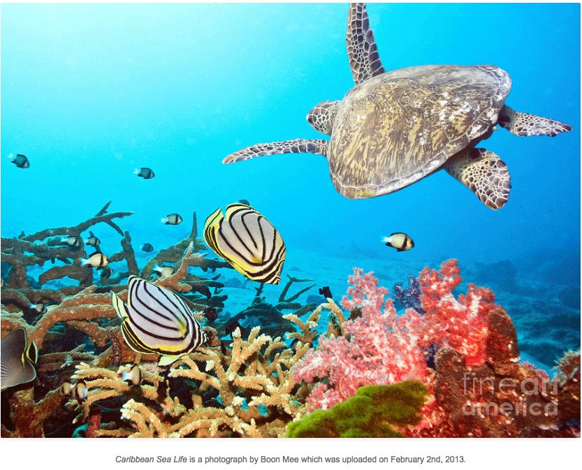 2 Caribbean first impressions and hurricane plan… Exploring the exotic world with Peter Rawson
