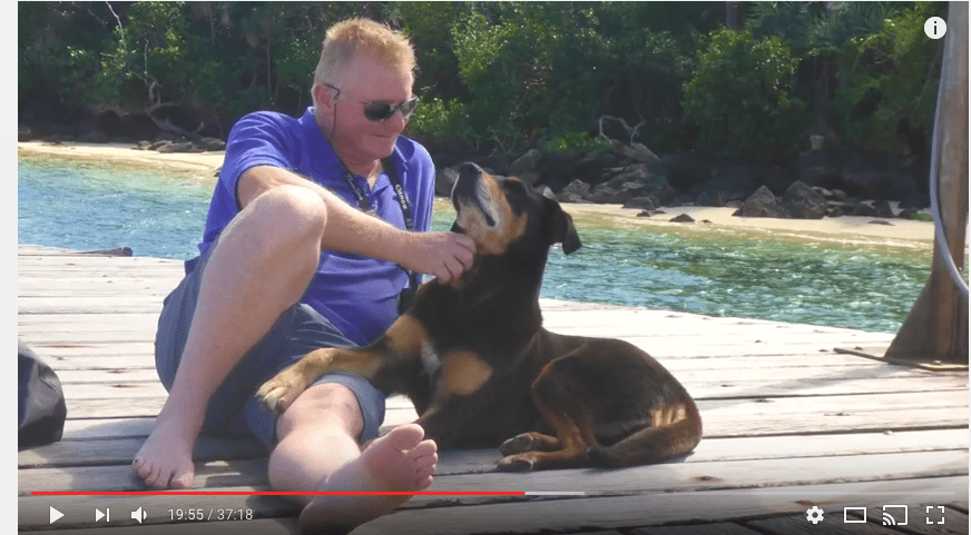 DOGGONE DAYS ON CATAMARAN IMPI
