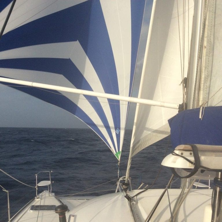 2 Cannes Yachting Festival 2019