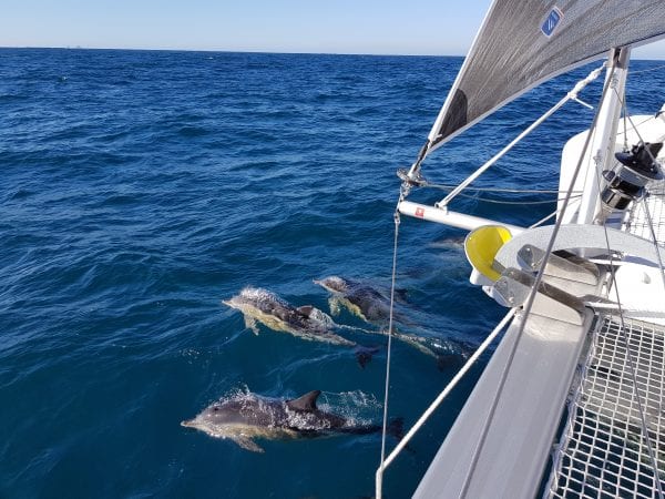 3 Wonderful memories sailing Sabella
