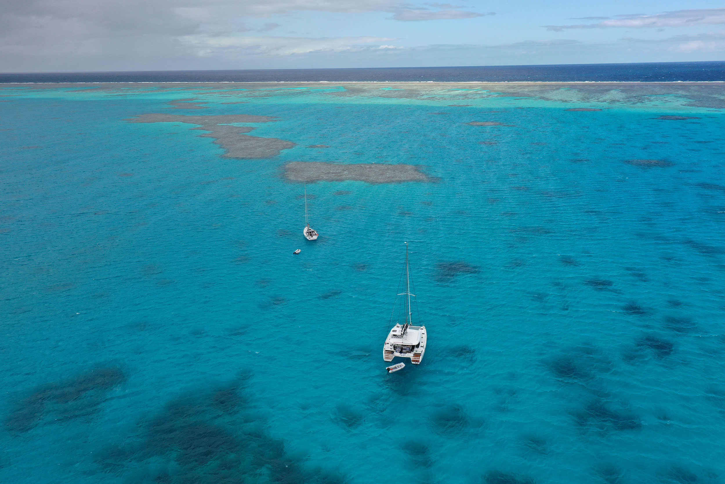 TMG Yachts helps builds new reefs for each TMG Yachts boat sold