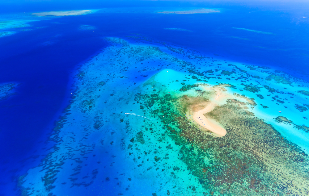 Vlasoff Cay Vlasoff Cay