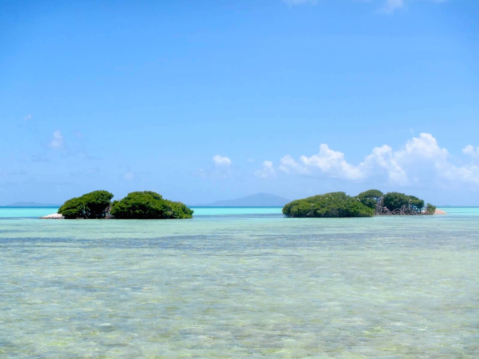 Lagoon_Catamaran_BVI_Jenny_BVI boys Lagoon_catamaran_storage_planning_tips_galley_saloon