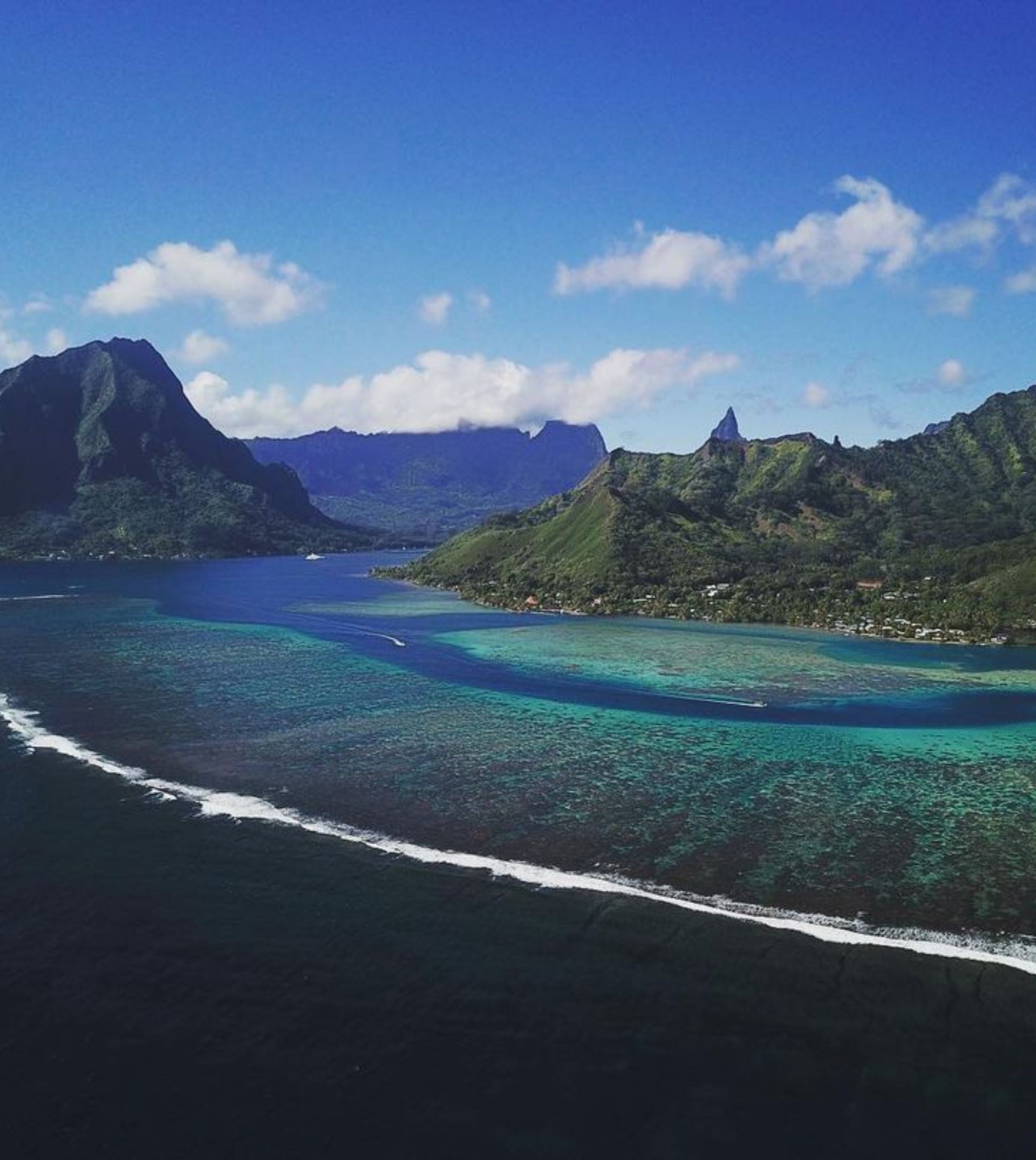 Untitled (1920 × 2200 px) (1920 × 2150 px) (1)