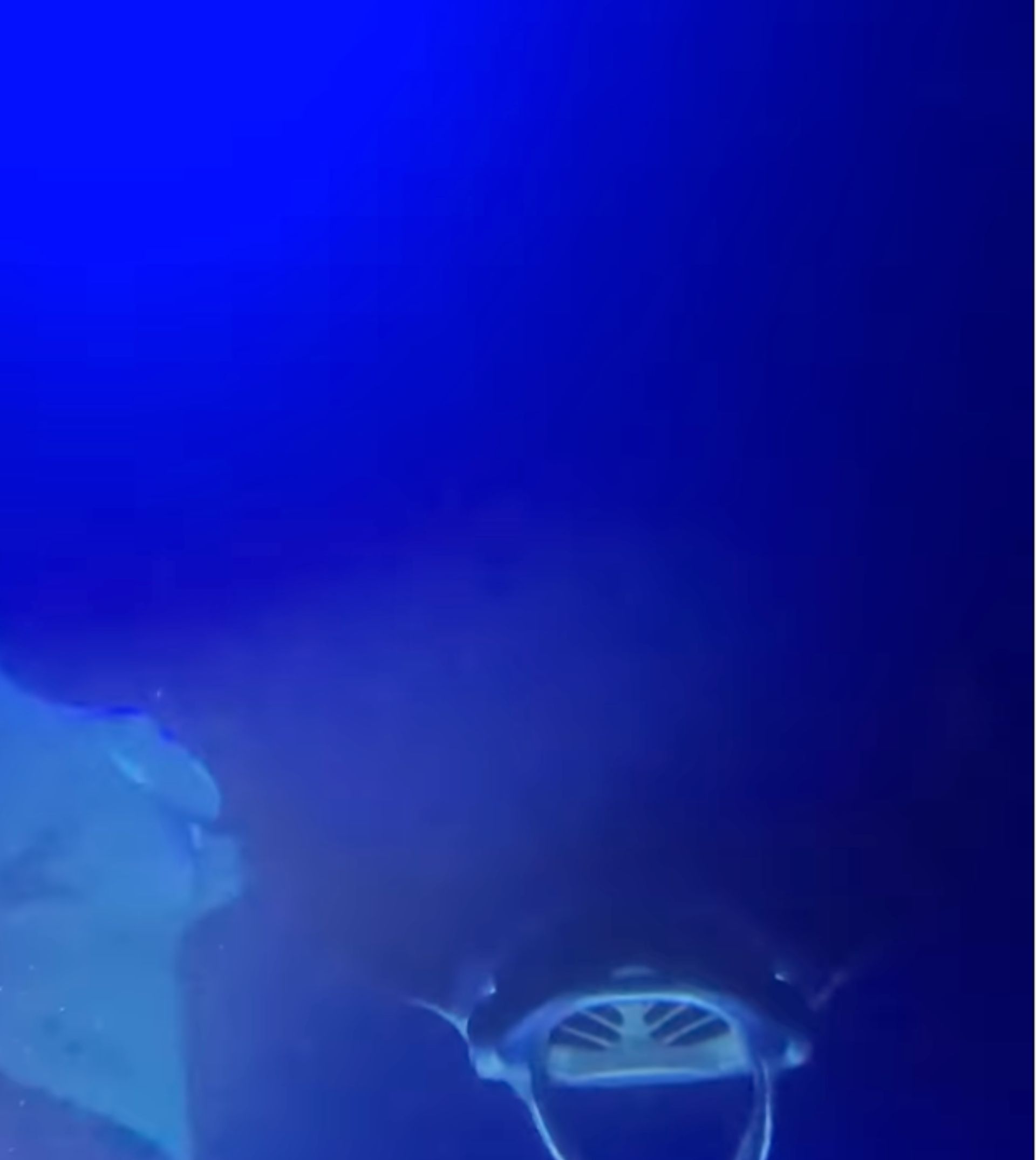 Untitled (1920 × 2200 px) (1920 × 2150 px) (2)