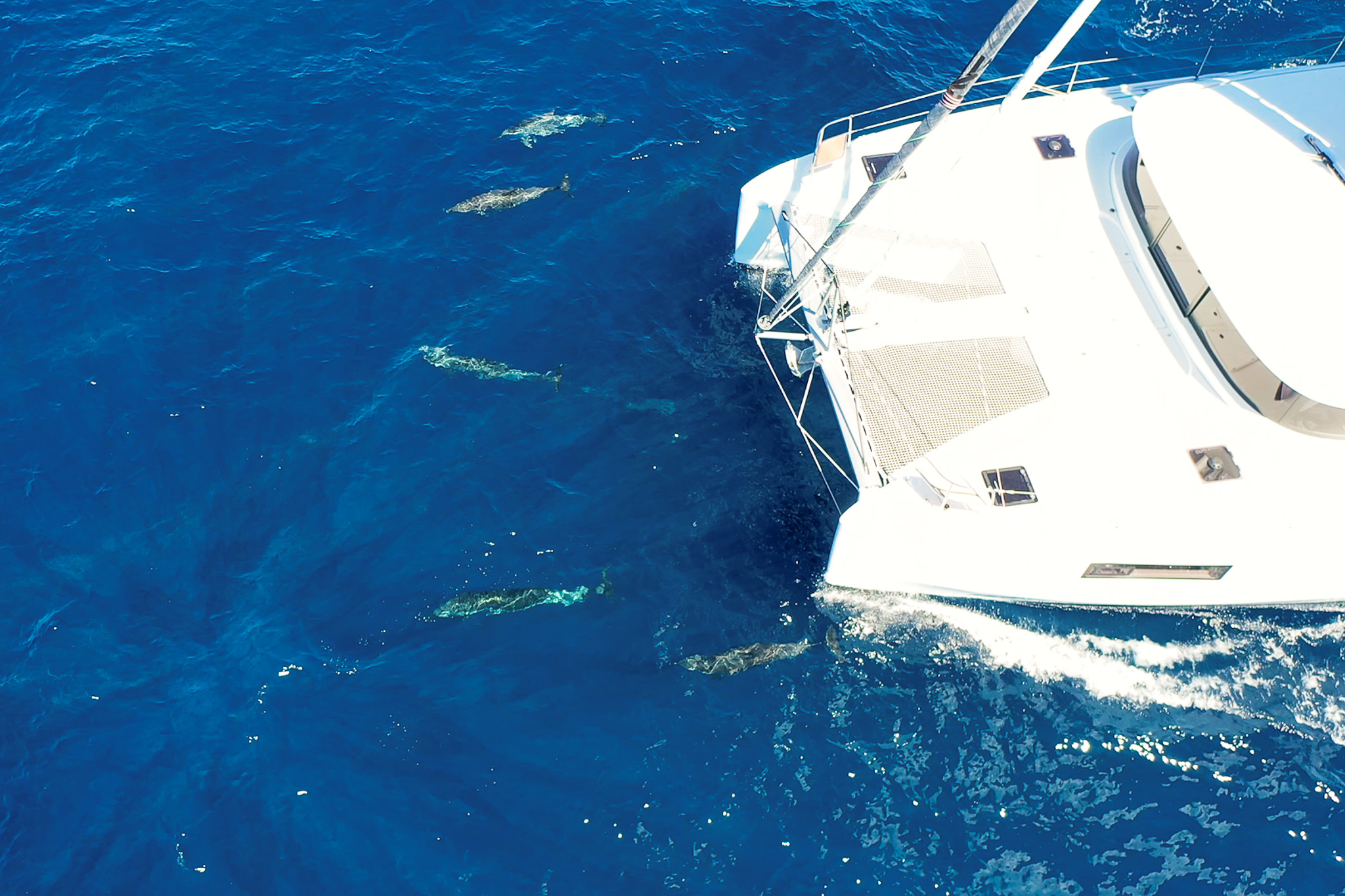 TMG_project.00_08_44_10.Still010-2 Prestige x60 - TMG Yachts
